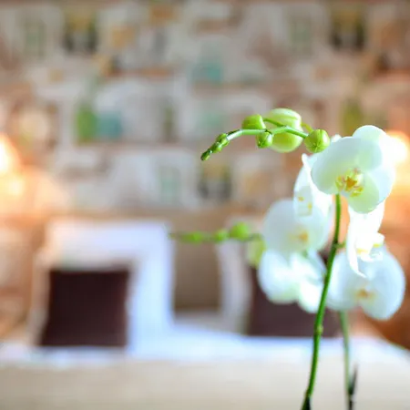 Hotel Relais Saint Jacques