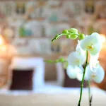 Hotel Relais Saint Jacques