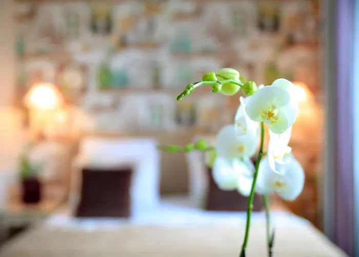 Hotel Relais Saint Jacques